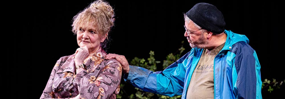 Volkstheater Frans Boermans - Duvelse Dilemma's: Speulers